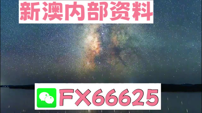 新澳天天资料资料大全262期,文明解释解析落实