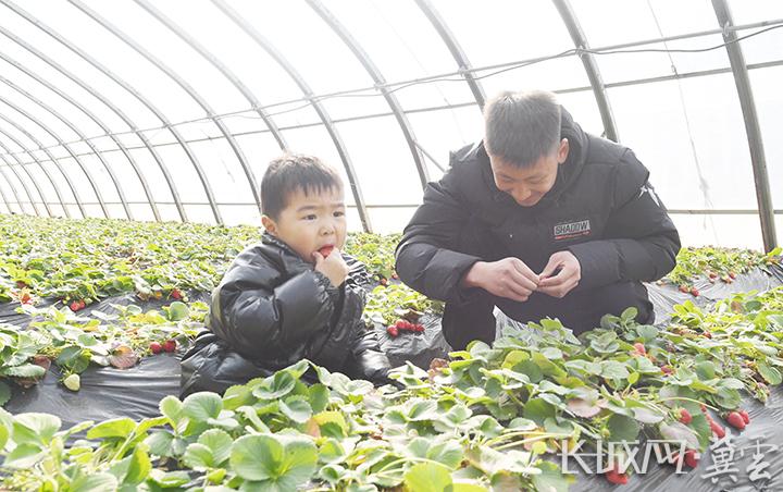 探索景县就业机会，深度解析58同城景县招聘平台